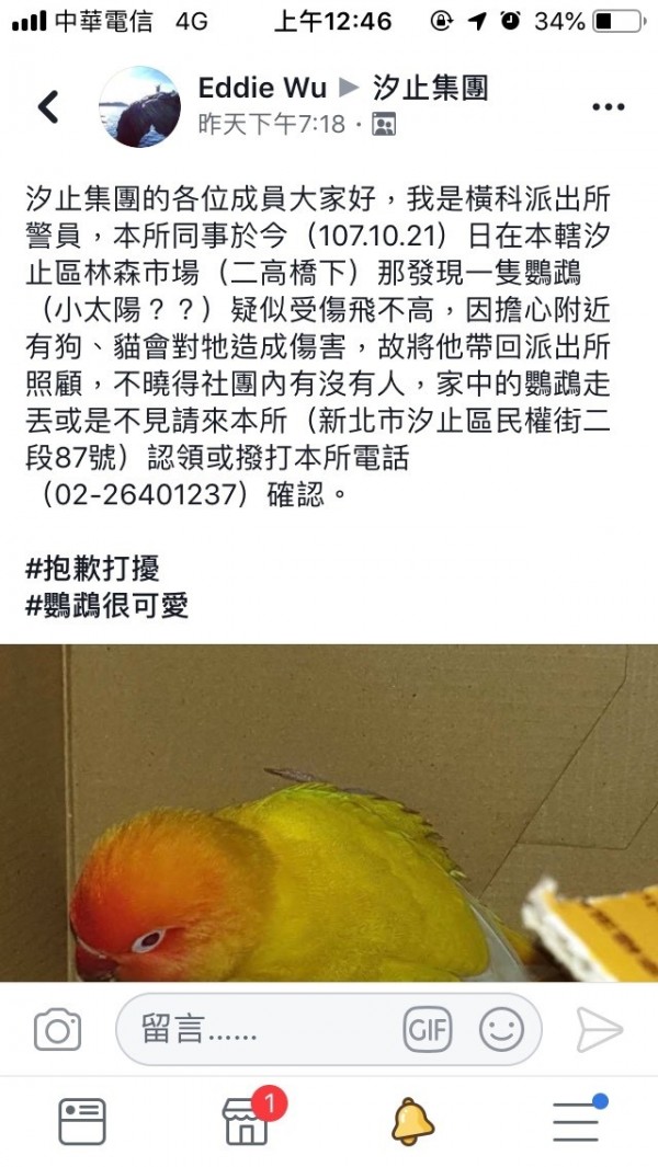 吳育匡將尋獲鸚鵡的訊息PO在汐止集團上，果然成功幫牠找到飼主。（翻攝自汐止集團臉書）