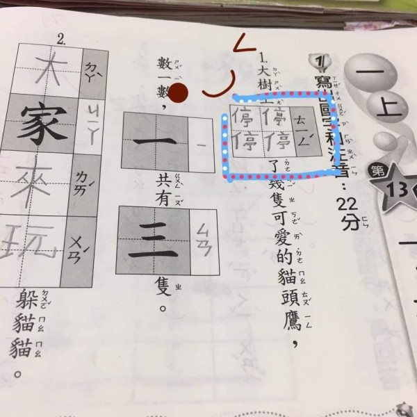 作業簿大大的格子中被虛線分成四等份，小朋友就在大格子中工整寫了4個「停」，網友看了不禁大笑，「停好停滿的概念」。（圗擷取自臉書社團「爆怨公社」）