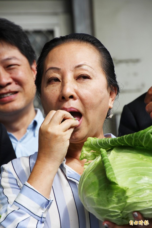 嘉義縣長張花冠生吃高麗菜幫忙促銷。（記者林宜樟攝）