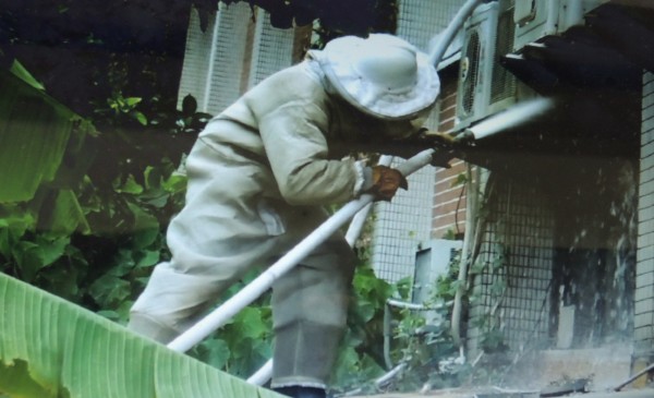過去消防人員是全副武裝捕蜂工作的要角。（資料照）