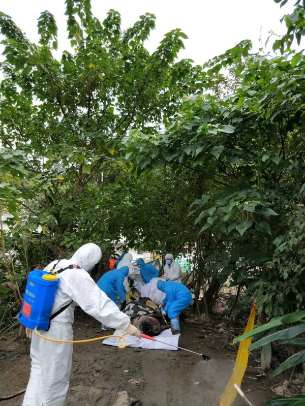 台北和平東路三段巷子發現300斤死亡麝香豬已送驗 生活 自由時報電子報