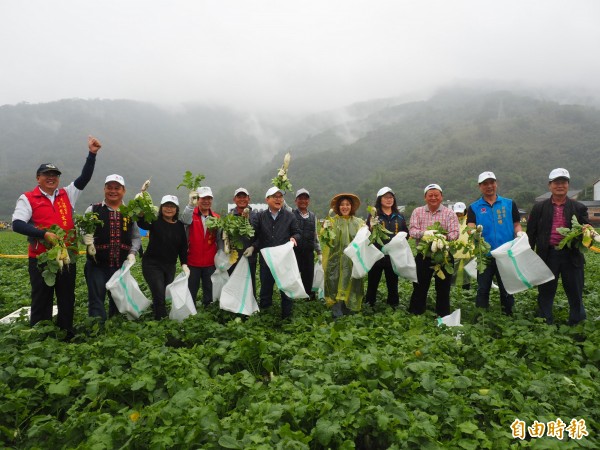 關山千人拔蘿蔔活動今天上午9時30分準時開拔。（記者王秀亭攝）