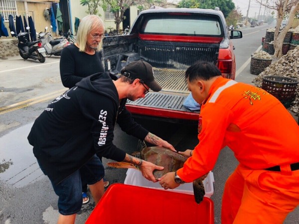 海巡署第11岸巡隊昨獲報綠蠵龜受困漁具，蘆竹溝安檢所立即派員趕往協助送往鯨豚研究中心安置並檢查健康狀況。（記者王涵平翻攝）