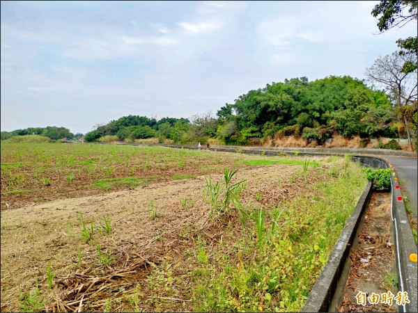 台糖選定在大林基地興建「牡蠣殼加工廠」，收購廢蚵殼。（記者曾迺強攝）