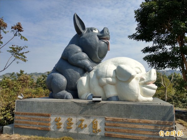 南投縣農產運銷公司將黑白豬「生生不息」入口意象大掃除，要以煥然一新的形象迎接金豬年。（記者劉濱銓攝）