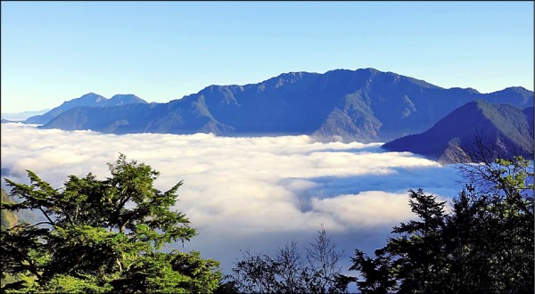 大陸冷氣團一波波來襲，玉山國家公園不時可見雲海美景。
（記者謝介裕翻攝）