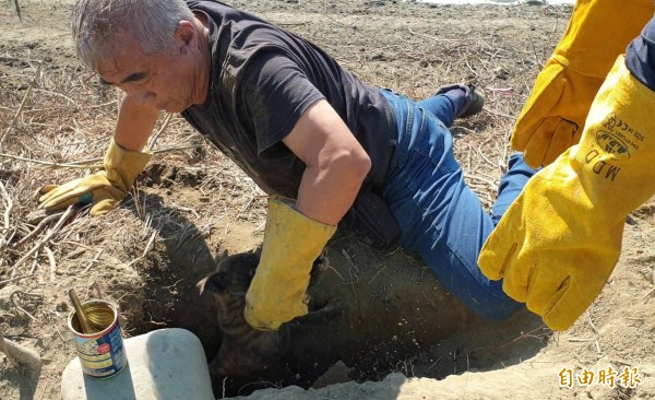 5幼犬受困1.5米地洞，台灣動物緊急救援小組大隊長倪兆成鑿洞鑽地救援。 （圖由台灣動物緊急救援小組提供）