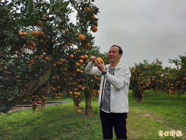 朱立倫的選辦地點傳選在北市安和路。（資料照）