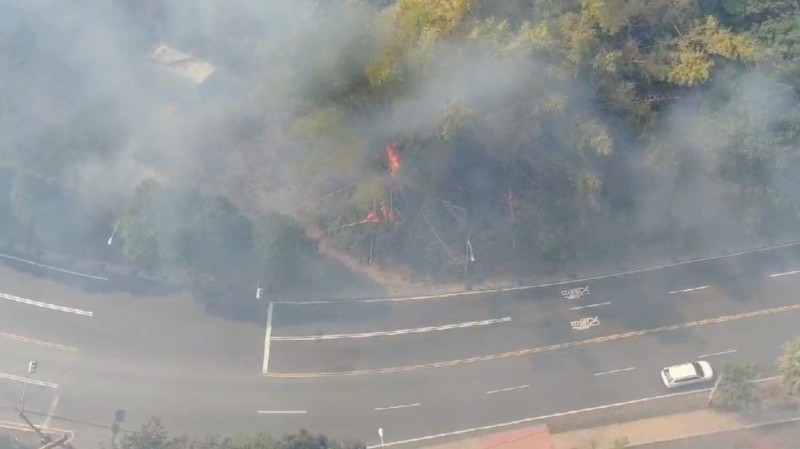 緊鄰省道台21線的魚池鄉公墓發生大火，火勢燒毀竹林佔據道路，影響人車通行。（記者劉濱銓翻攝）