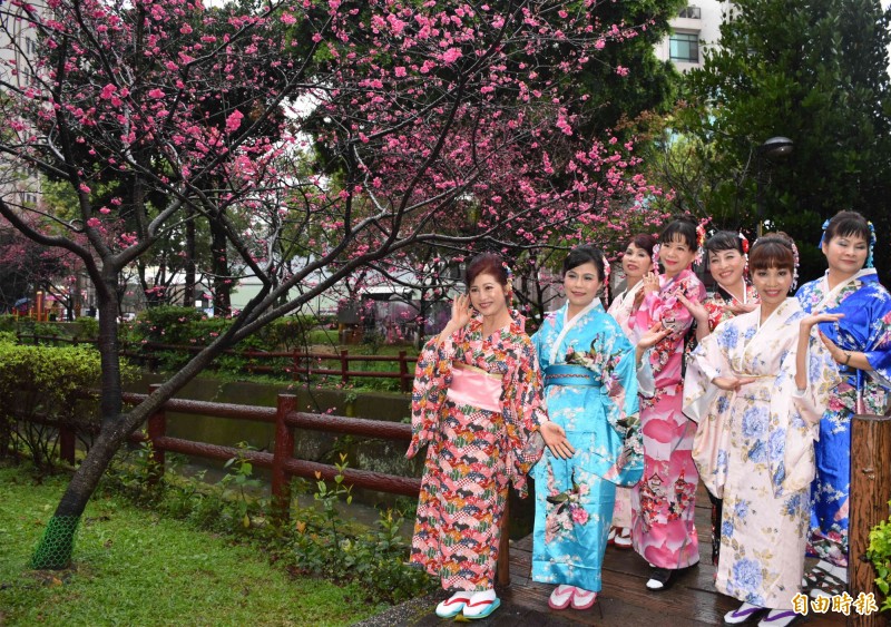 莒光公園櫻花開的好美，普強里舞蹈班的婆婆媽媽穿上和服嬌艷入鏡。（記者李容萍攝）