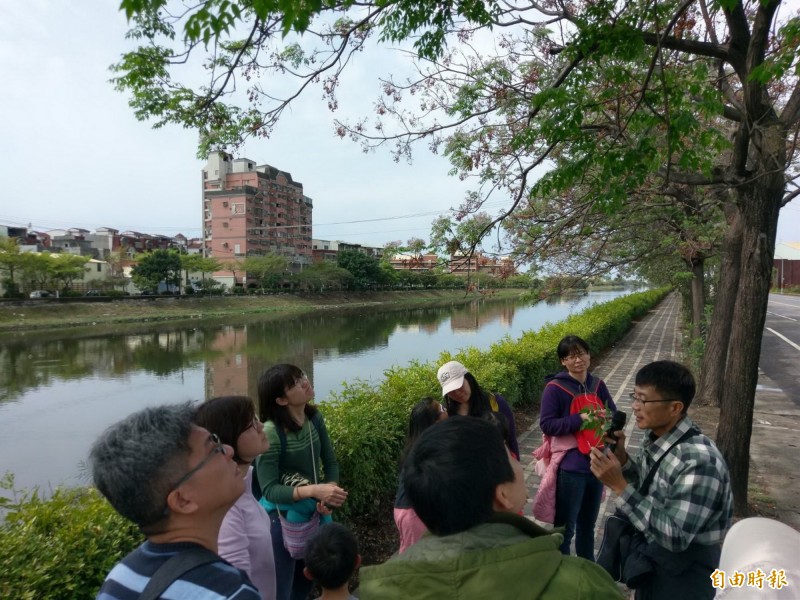 苦楝樹花開，社大台江分校師生走讀台灣山海圳綠道，認識在地環境之美。（記者蔡文居攝）