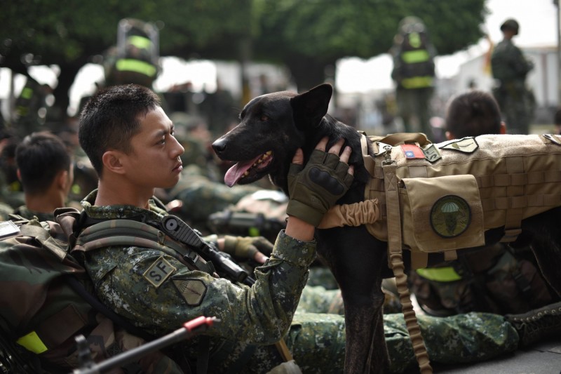 特戰犬「HOLA」（軍方提供）