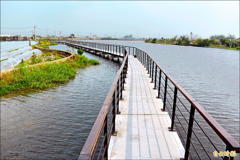 六甲區公所在瓦窯埤新建水上棧道，5月還將配合六甲蓮花季推出菁埔埤塘小旅行。
（記者楊金城攝）