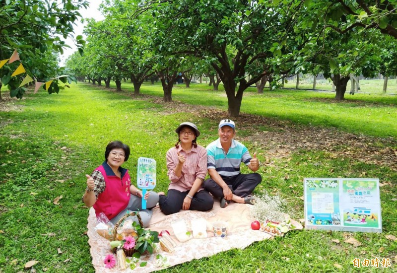 麻豆區長孔慶瑤（左）在柚園野餐，為23、24日首辦柚香車露活動宣傳。（記者楊金城攝）