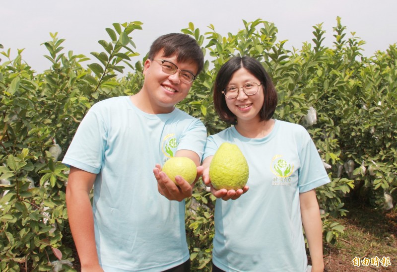 擁有碩士學歷的江潁彥(左)蕭百容(右)返鄉種芭樂,收入比當上班族多3成。(記者陳冠備攝) 擁有碩士學歷的江潁彥(左)蕭百容(右)返鄉種芭樂,收入比當上班族多3成。(記者陳冠備攝)