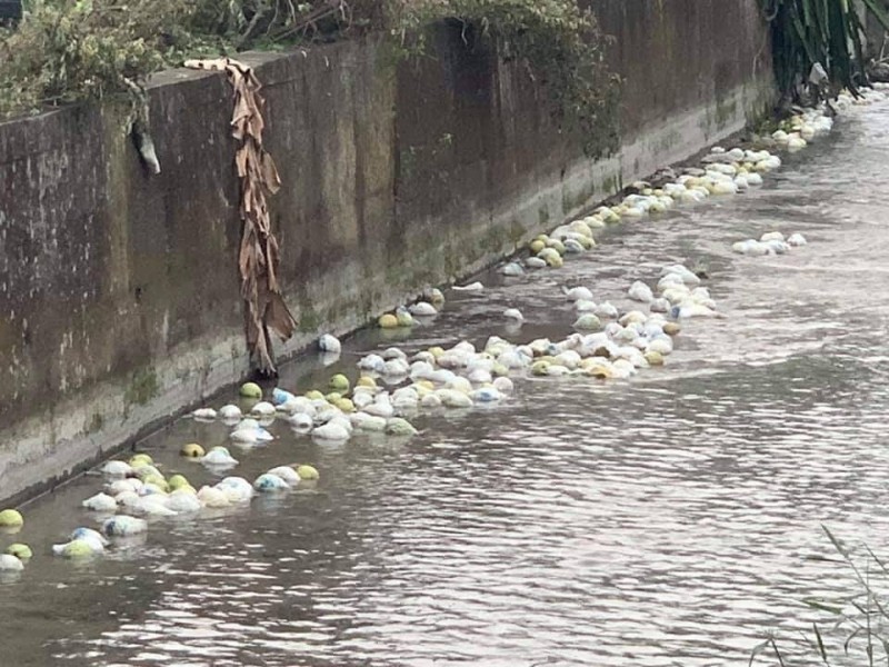 民眾PO高雄芭樂倒水溝照，問「韓市長不是接很多訂單了？」（擷取自爆料公社）