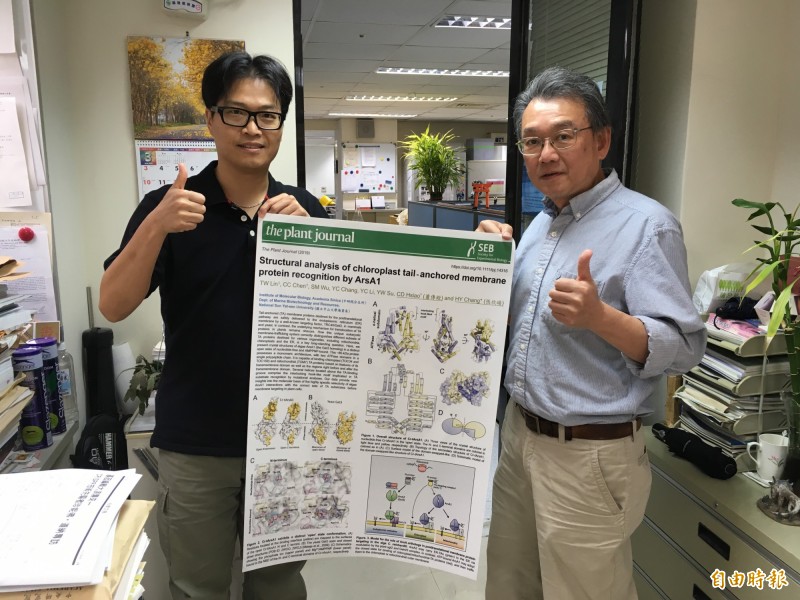 中央研究院分子生物學研究所研究員蕭傳鐙（右）、中山大學海洋生物科技暨資源學系助理教授張欣暘（左）團隊，找到綠藻載體3D立體結構。（記者黃旭磊攝）