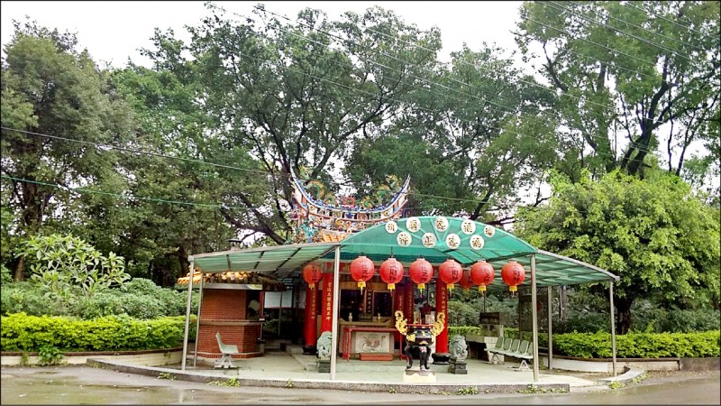 位於福德宮廟正後方，被列管的珍貴樹木遭到病害。（新北市景觀處提供）