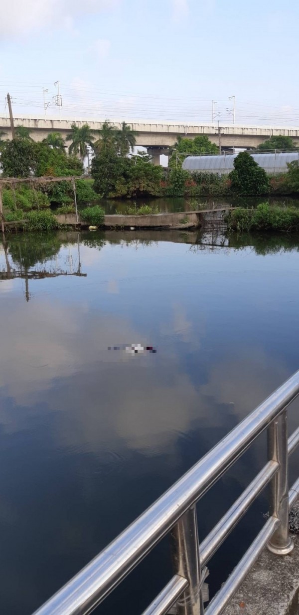 嘉義縣太保市後庒里一處魚池發現浮屍。（記者蔡宗勳翻攝）