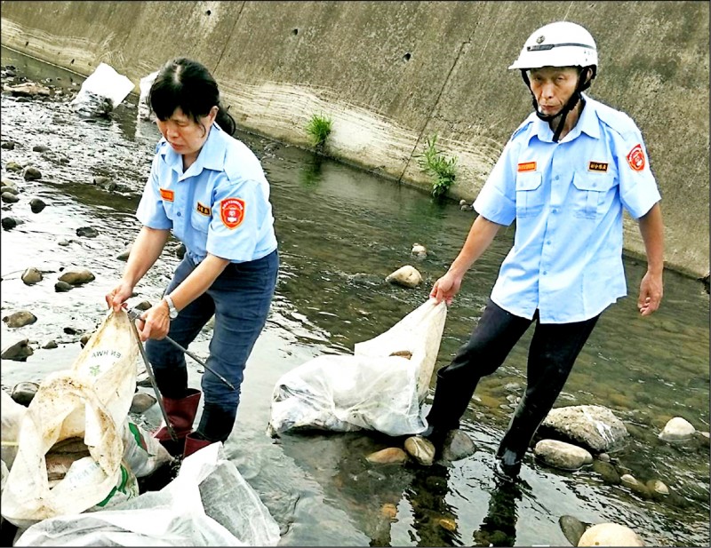 老街溪魚群熱斃2天清萬尾 地方 自由時報電子報