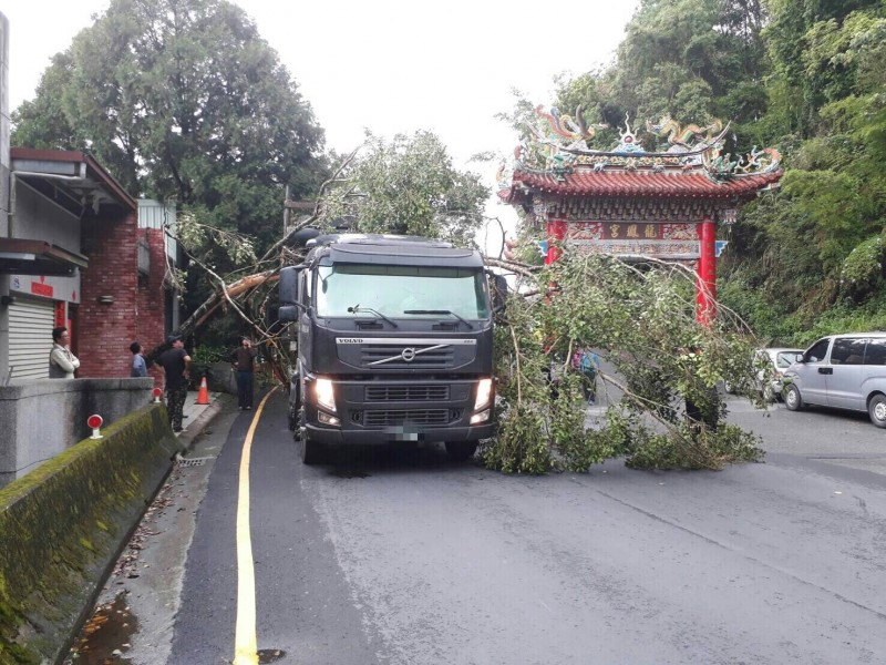 日月潭環湖公路一輛拖板車載貨超高，沿路扯斷電線，直到卡到樹才停了下來。（記者劉濱銓翻攝）