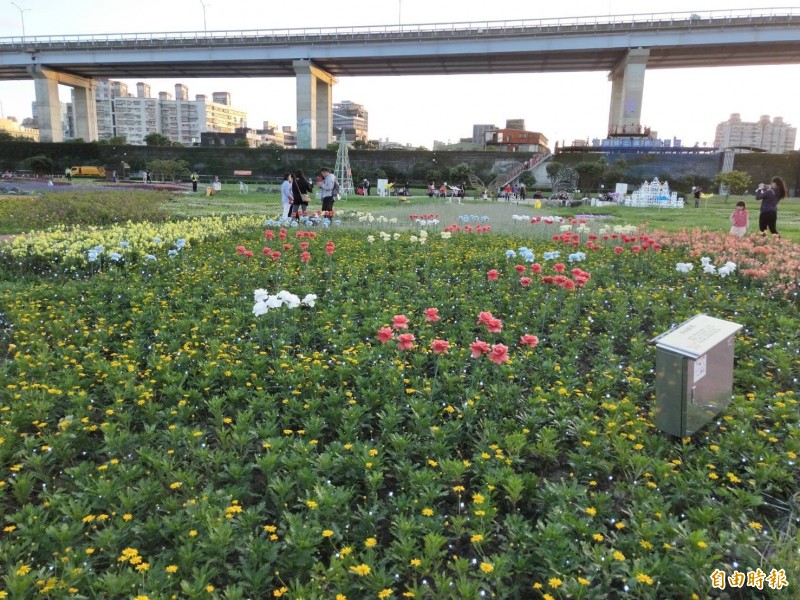 板橋蝴蝶公園種植23萬株草花，形成繽紛花海。（記者賴筱桐攝）