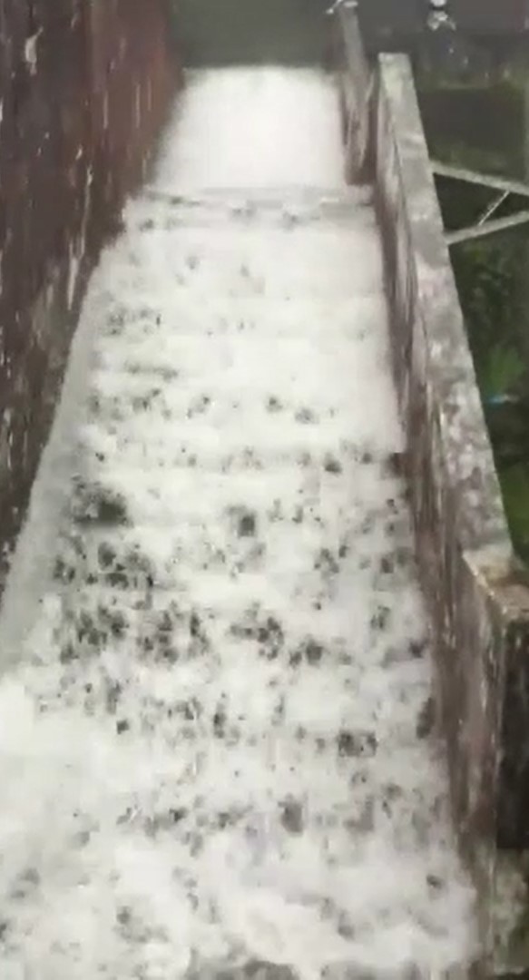 阿里山森林遊樂園區內的階梯變成瀑布。（民眾提供）