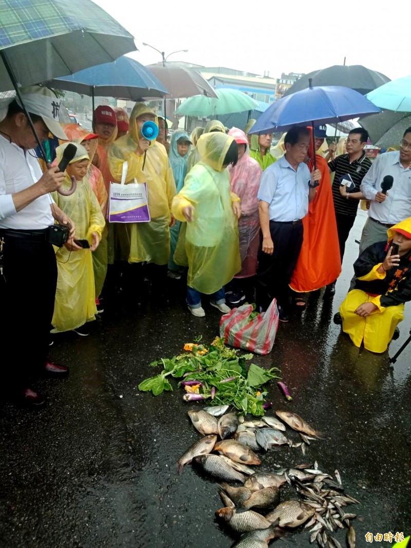 新竹縣關西鎮居民，冒雨帶著死魚到桃園龍源工業區化工廠，抗議工廠排放廢水到牛欄河。（記者李容萍攝）