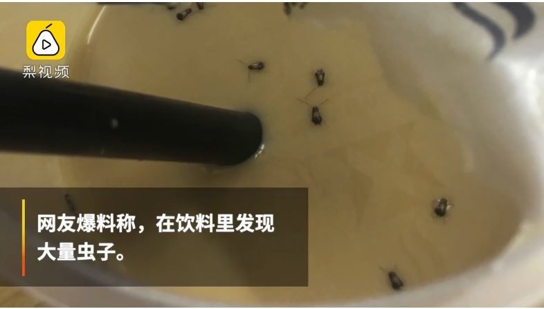 從照片中可以看到咖啡內有非常多蟑螂漂浮其中。（圖擷自《梨視頻》）