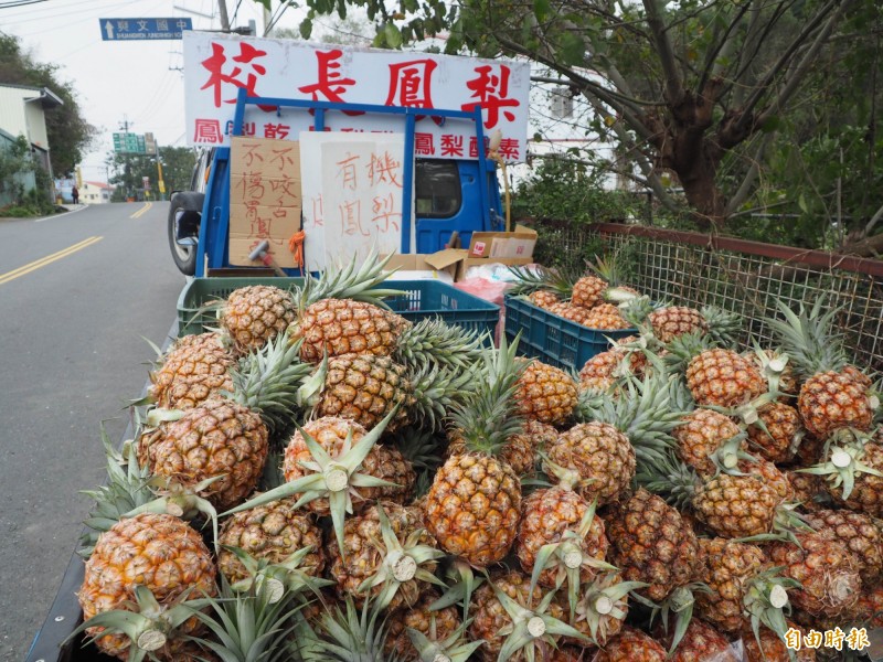 農糧署表示鳳梨價格今年比去年上漲不少。（資料照，記者陳鳳麗攝）