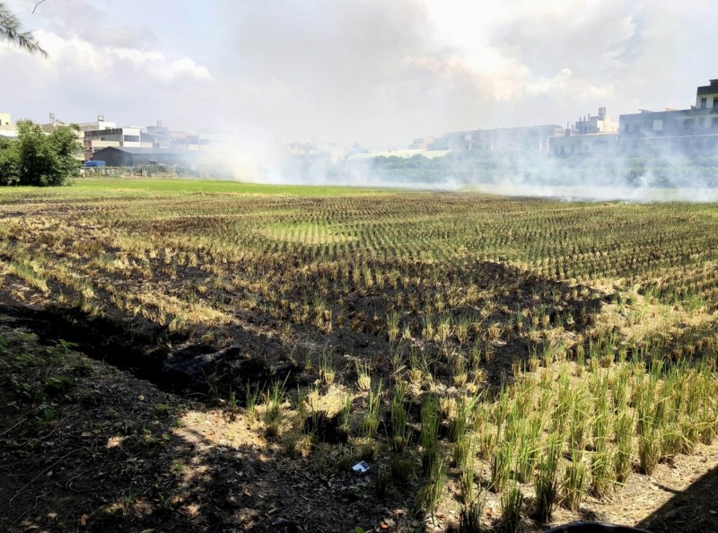 台中市補助農民辦理稻草剪段防止焚燒稻草計畫每公頃補助1000元，今年度第1期稻作的申報時間從即日起至7月31日止。（資料照）