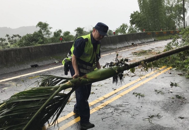 檳榔樹倒在台八線上，東勢分局員警趕緊將樹移到一旁，以免阻礙交通。（記者歐素美翻攝）