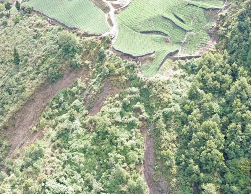 退輔會福壽山農場違法開闢茶園，導致周遭土石坍方。（調查局提供）