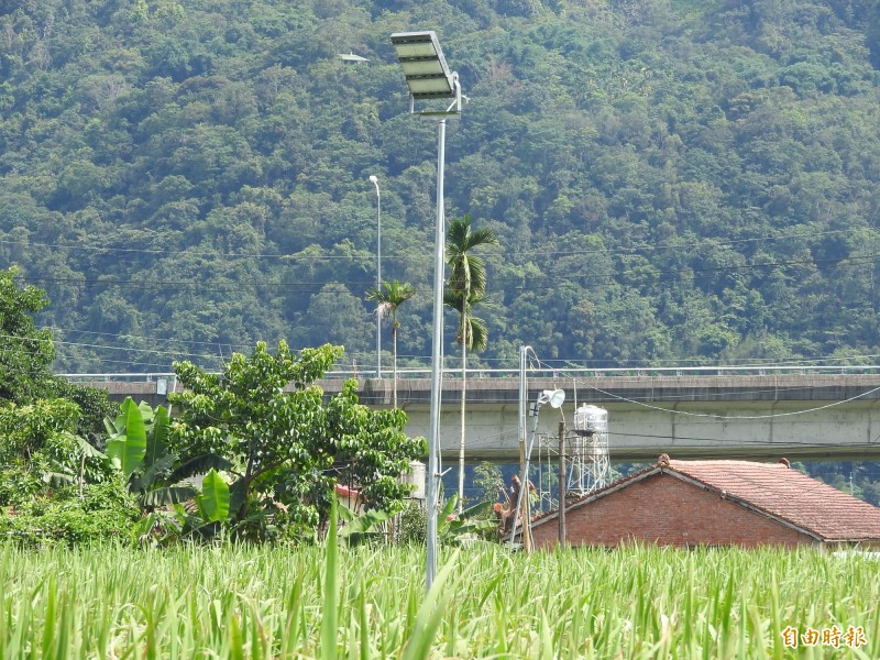 國立暨南國際大學將低耗能的LED燈導入埔里鎮茭白筍產業。（記者佟振國攝）