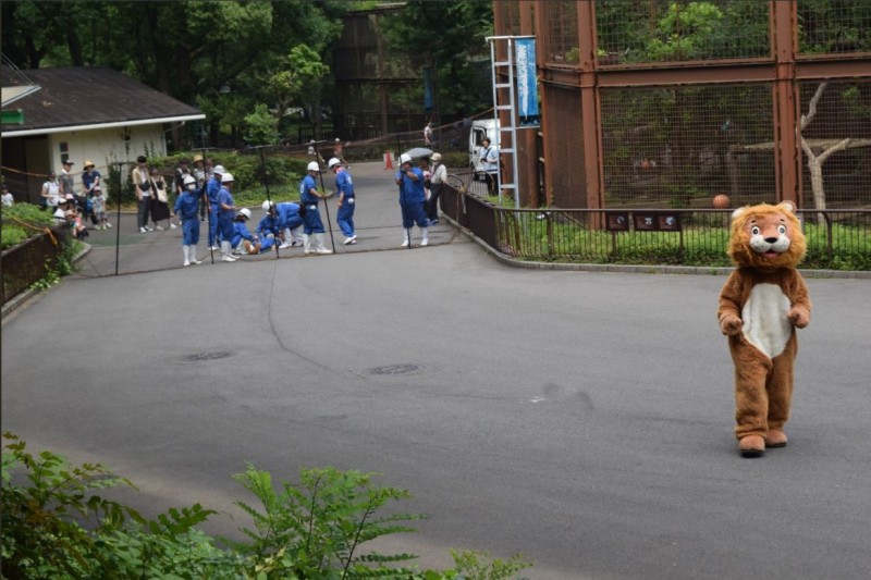 日本動物園進行逃脫演習。（圖擷取自推特@tobezooofficial）

