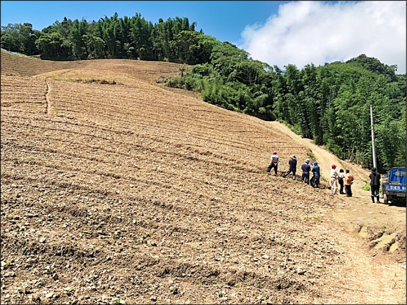 南投信義鄉望鄉後山遭超挖整地，違規面積達8500平方公尺。（記者劉濱銓翻攝）