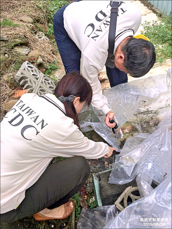 台南出現今年首例本土登革熱病例。圖為疾管署防疫人員檢視社區角落是否有病媒孳生源。（疾管署提供）