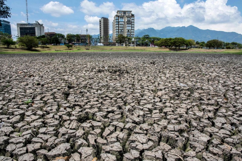 日本氣象廳今（10）日宣布，從去年10月開始的聖嬰現象，相信已在今年6月結束。圖為哥斯大黎加聖荷西的湖泊，受到聖嬰現象影響而乾涸。（法新社）