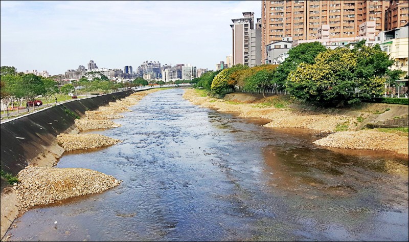 水務局在南崁溪打造類似丁壩的構造物。（記者李容萍翻攝）