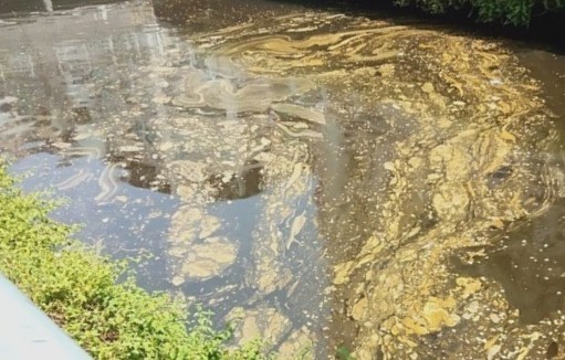 高雄愛河一隅照片曝光，除了變成「大便色」之外，水面上還浮著不明渣渣，畫面曝光令網友大呼「噁爆」。（民眾提供）