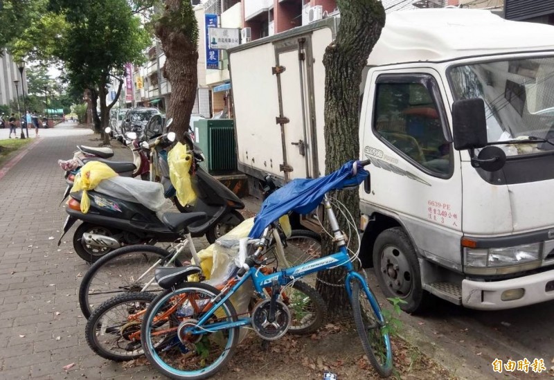 南投市人行道赫見腳踏車以鎖鏈綁在路樹的亂象。（記者謝介裕攝）