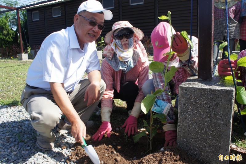 澎湖縣長賴峰偉與造林媽媽，共同種下百香果幼苗。（記者劉禹慶攝）