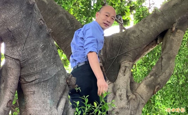 高雄市長韓國瑜昨（25日）日視察登革熱疫區，竟爬上樹看積水情形，驚人之舉讓眾人傻眼。（資料照）