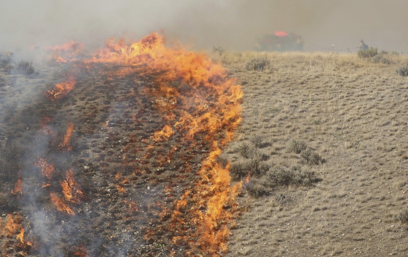 北極圈6月初以來已經有100多個地區發生野火，其火勢產生的煙霧大到連太空都看得見。（美聯社）