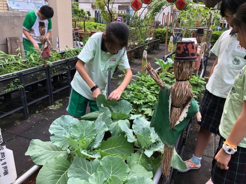 民眾透過有機肥料種植蔬菜。（北市環保局提供）