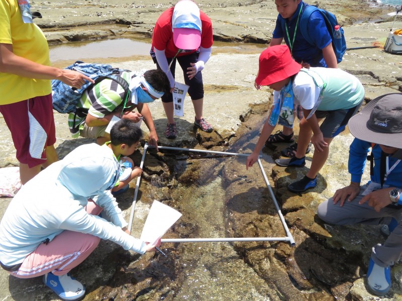 成員觀查潮間帶生物。（海管處提供）