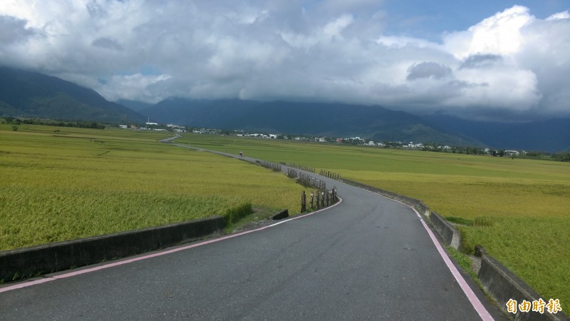 以天堂路、伯朗大道聞名的池上鄉，在台東縣環境清潔競賽中10連霸。（記者王秀亭攝）