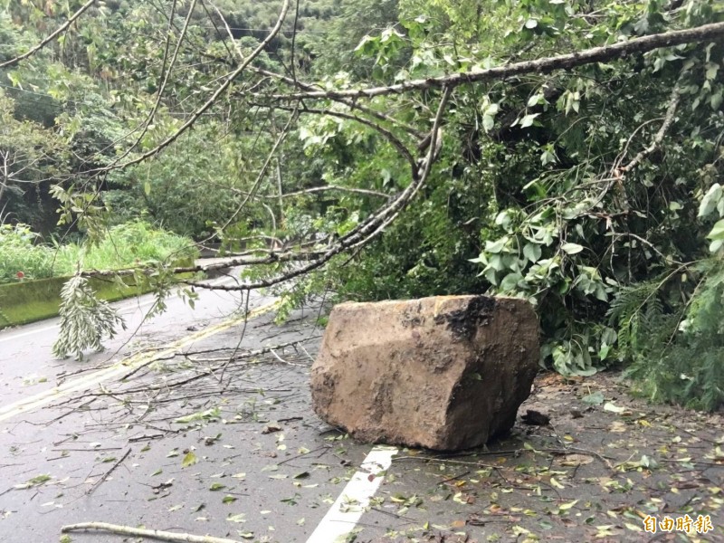 台21線道14.5K豐埔15橋處，出現落石及路樹倒塌情形。（記者張軒哲攝）