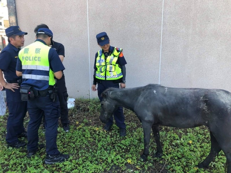 4名警察趕馬7小時，差點累癱。（記者張瑞楨翻攝）