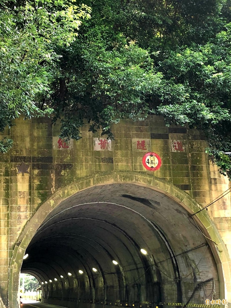 市道172線為西拉雅國家風景區主要觀光道路，但近來雨水不斷，沿途林木枝葉茂密，除影響景觀，刮到遊覽車，居民也擔心卡到電線造成大停電。（記者王涵平攝）